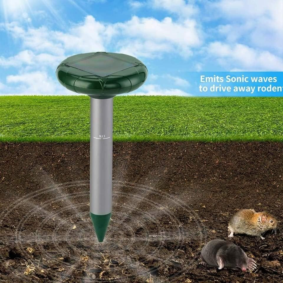 Solarni Rasterivači Glodara 2 Komada