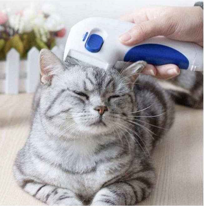 Električni češalj provit buva – Flea Doctor
