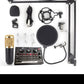 Bm 800 + Stalak + Pop filter + V8 Sound card
