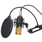 Bm 800 + Stalak + Pop filter + V8 Sound card